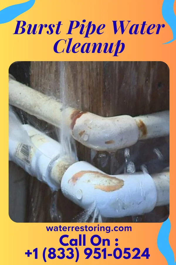 Burst Pipe Water Cleanup in New Castle, PA