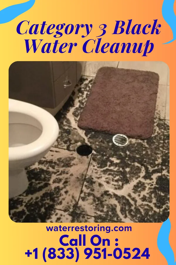 Category 3 Black Water Cleanup in New Castle, PA