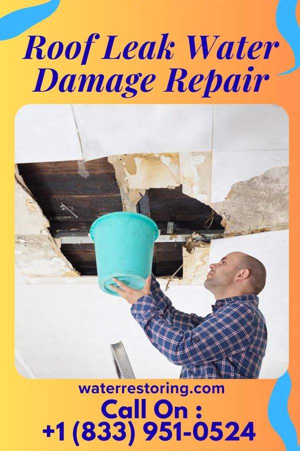 Roof Leak Water Damage Repair in New Castle, PA