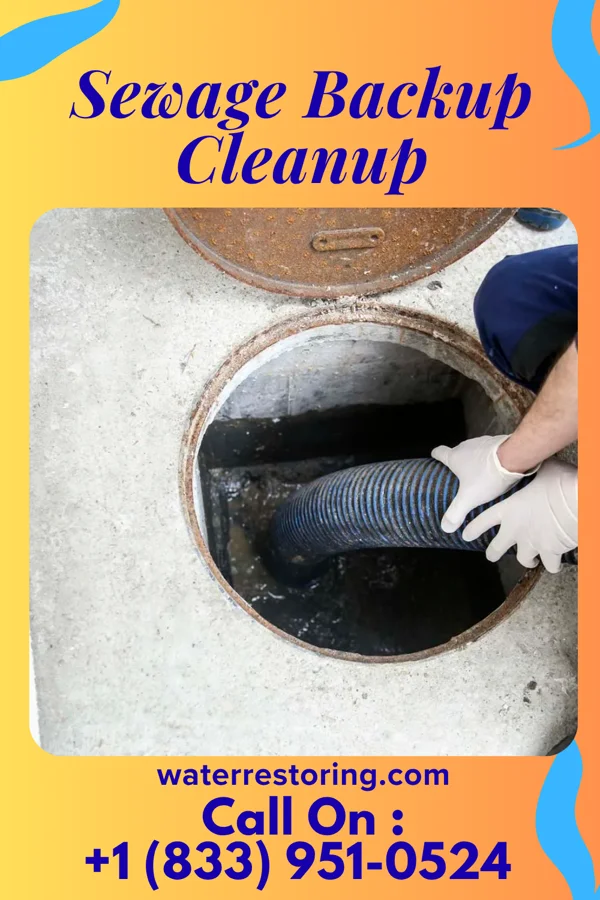 Sewage Backup Cleanup in New Castle, PA