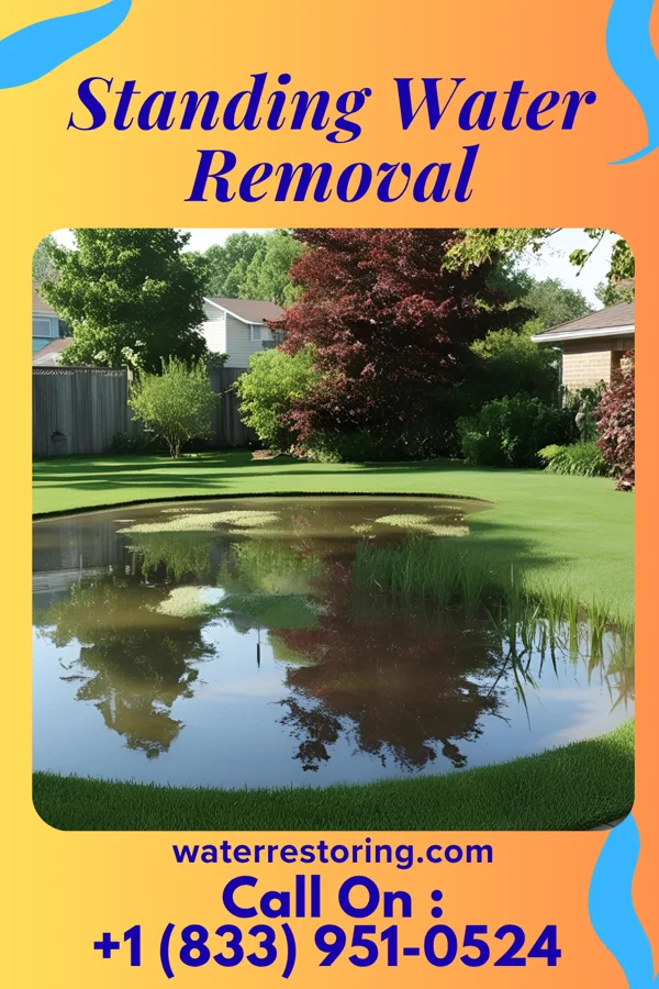 Standing Water Removal in New Castle, PA